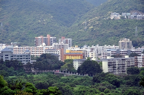 DSC_1038.JPG