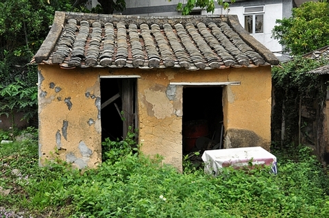 DSC_1041.JPG