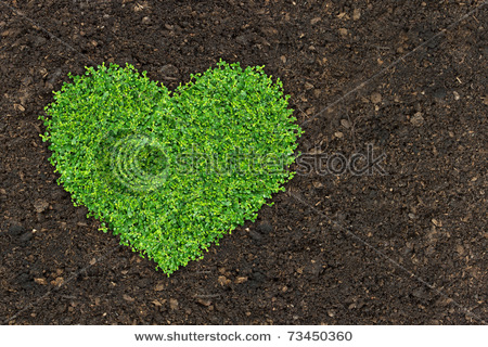 stock-photo-grass-and-green-plants-growing-a-heart-shape-on-soil-manure-in-the-b.jpg