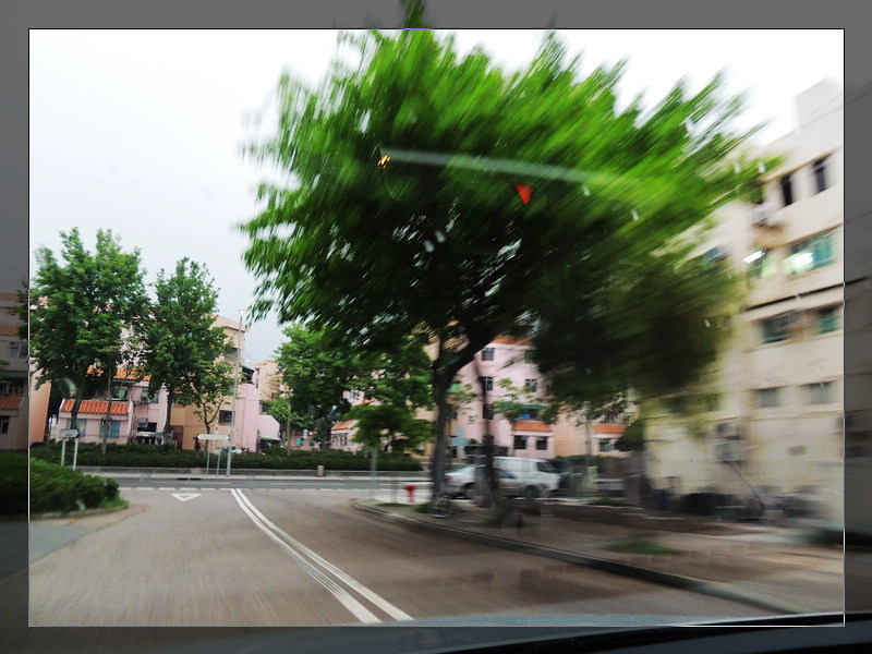 DSCN1533.jpg