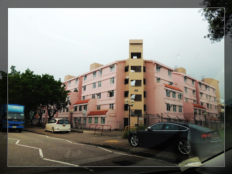 DSCN1531.jpg