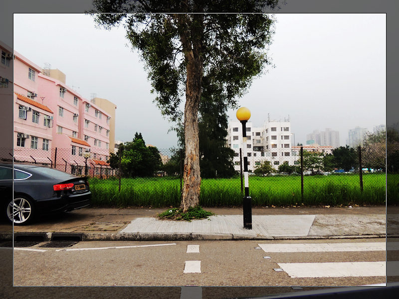 DSCN1532.jpg