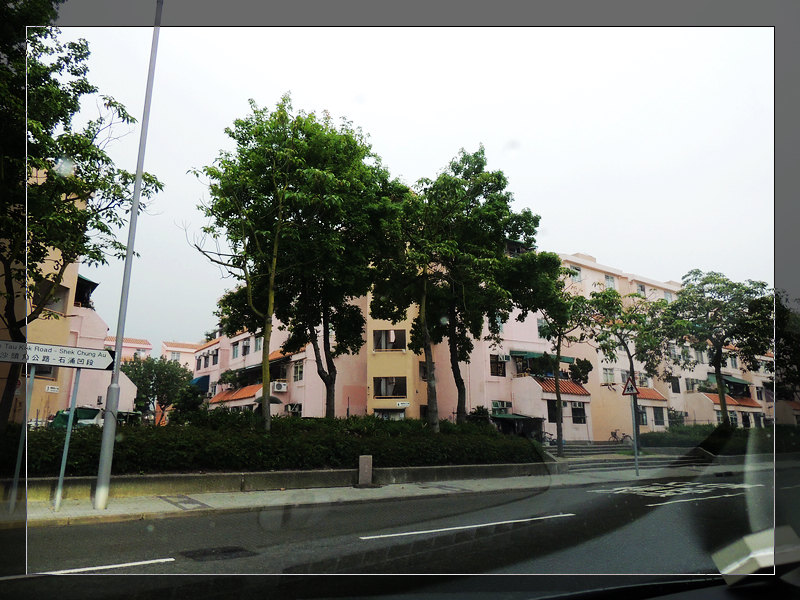 DSCN1534.jpg