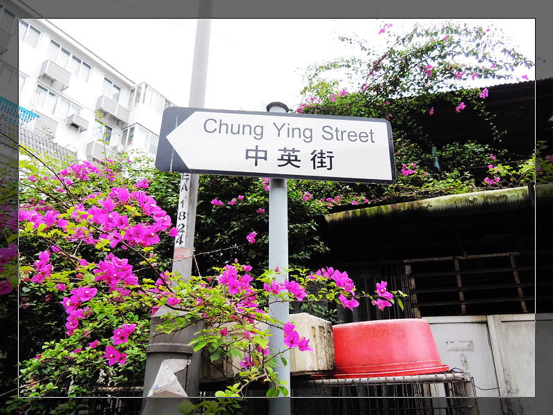 DSCN1514.jpg