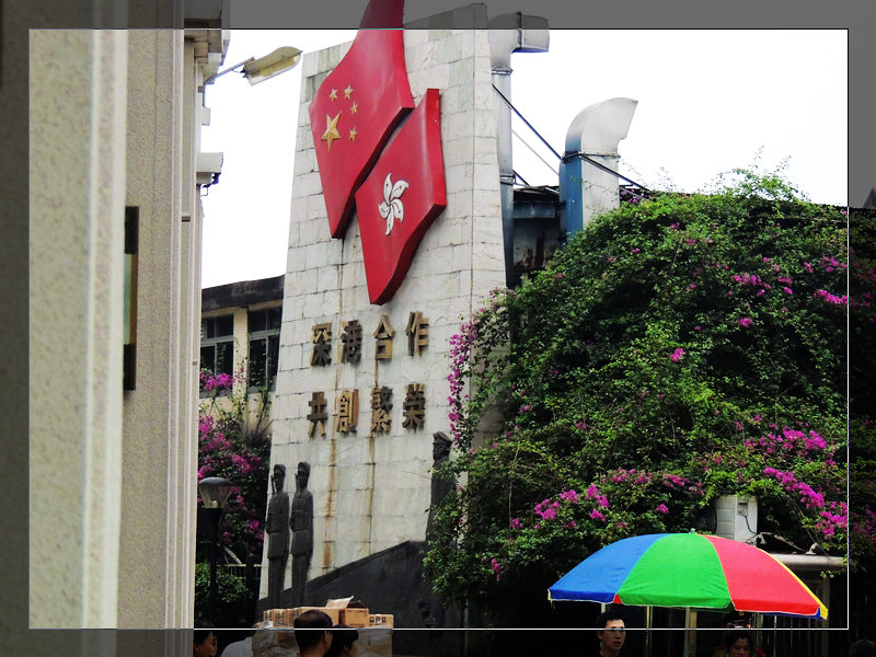 DSCN1530.jpg
