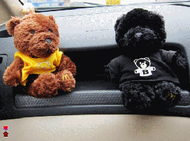 IMG_0397_conew3.gif
