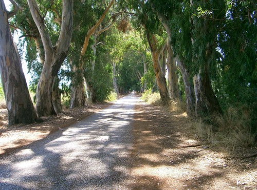 C05.jpg