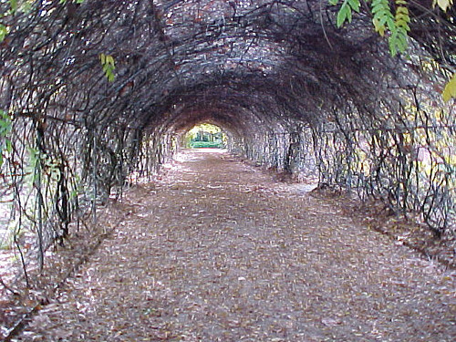 C09.jpg