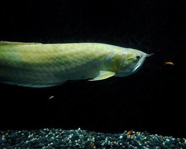 1_201205011443181ZRB6.jpg