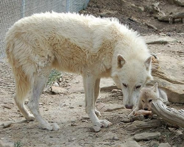 1_2012050114422616Xs6.jpg