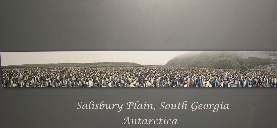 15_Salisbury Plain.JPG
