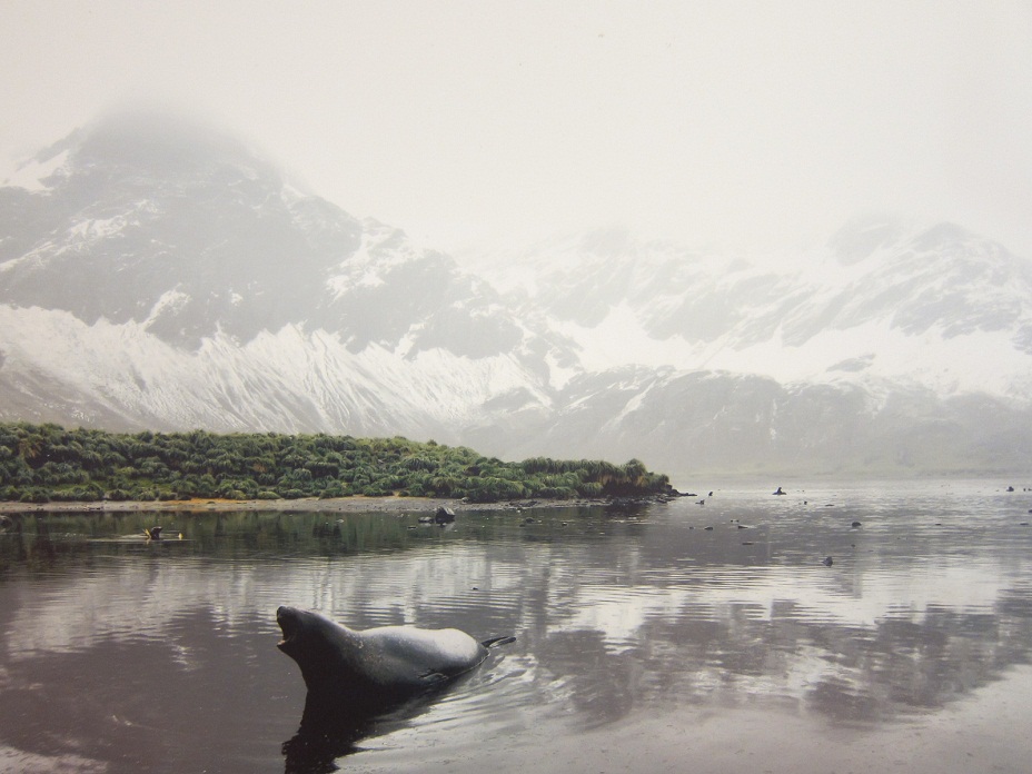1_Stromness Bay @ Antartica.JPG