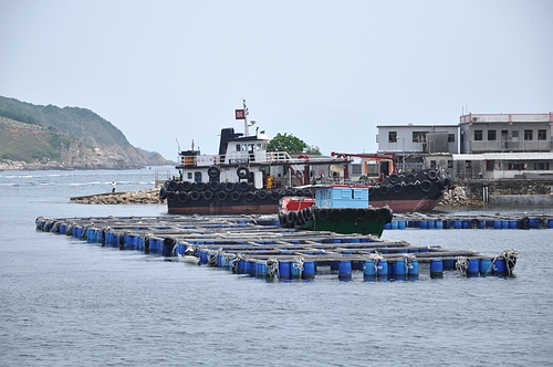 DSC_1093.JPG