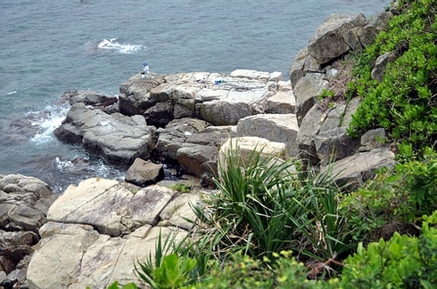 DSC_0069.JPG