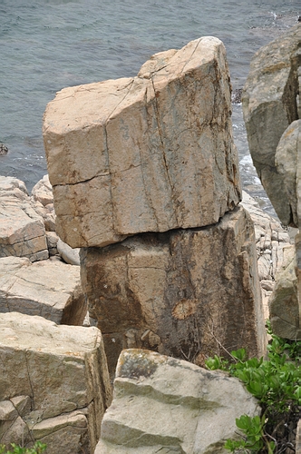 DSC_0074.JPG