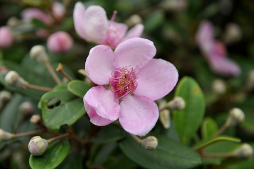 DSC_0098.JPG