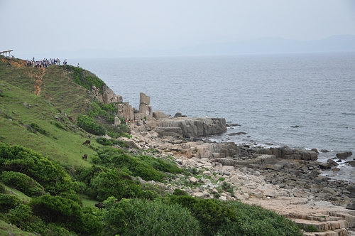 DSC_0100.JPG