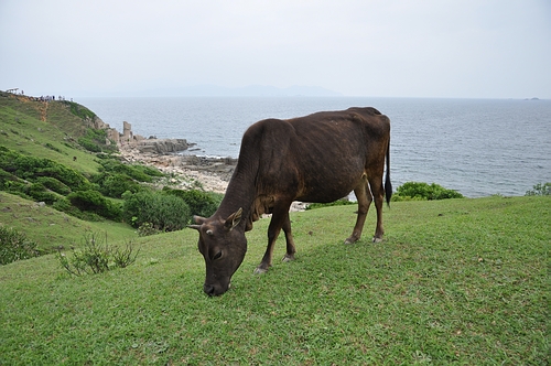 DSC_0106.JPG