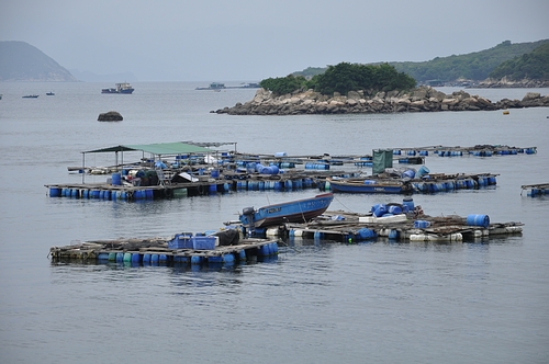 DSC_0150.JPG