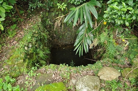 DSC_0152.JPG