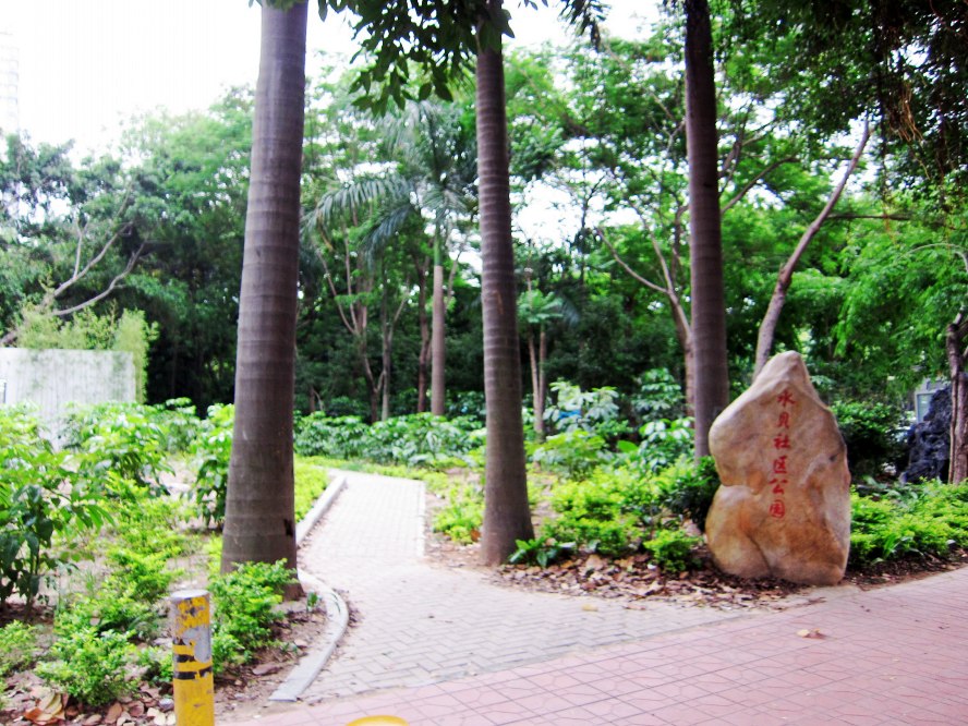 IMG_1018_conew1.jpg