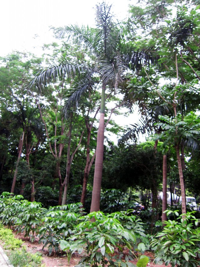 IMG_1021_conew1.jpg