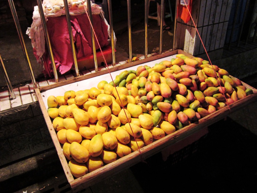 IMG_1086_conew1.jpg