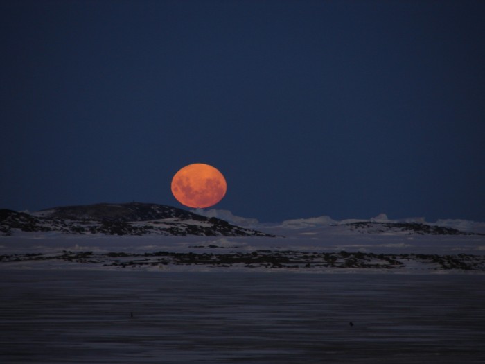 moonantarctica_behrens_f27.jpg