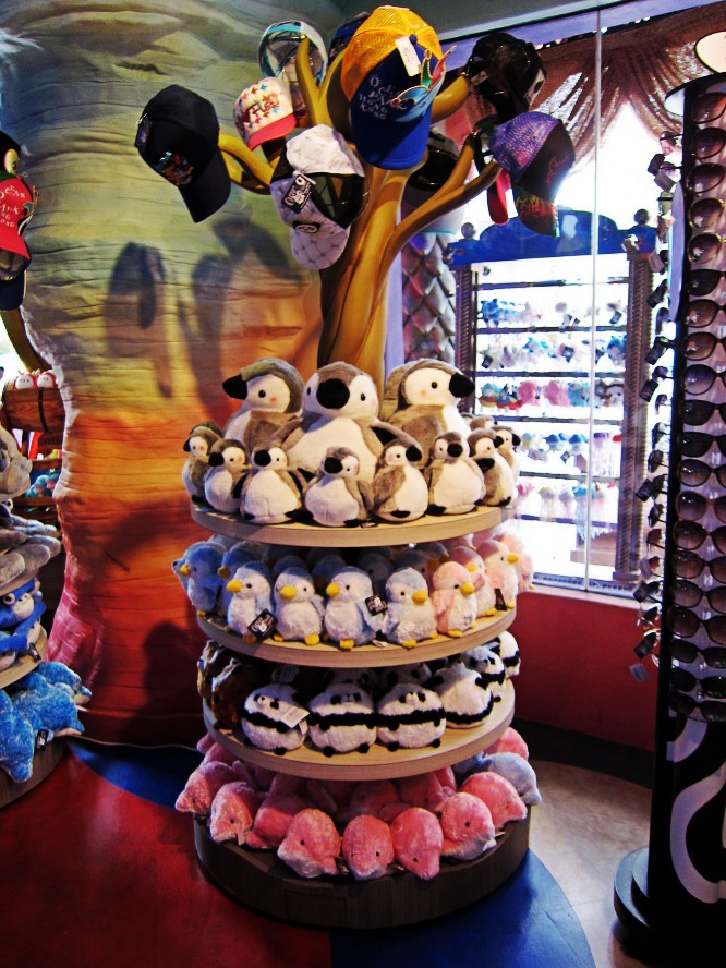 IMG_0612_conew1.jpg