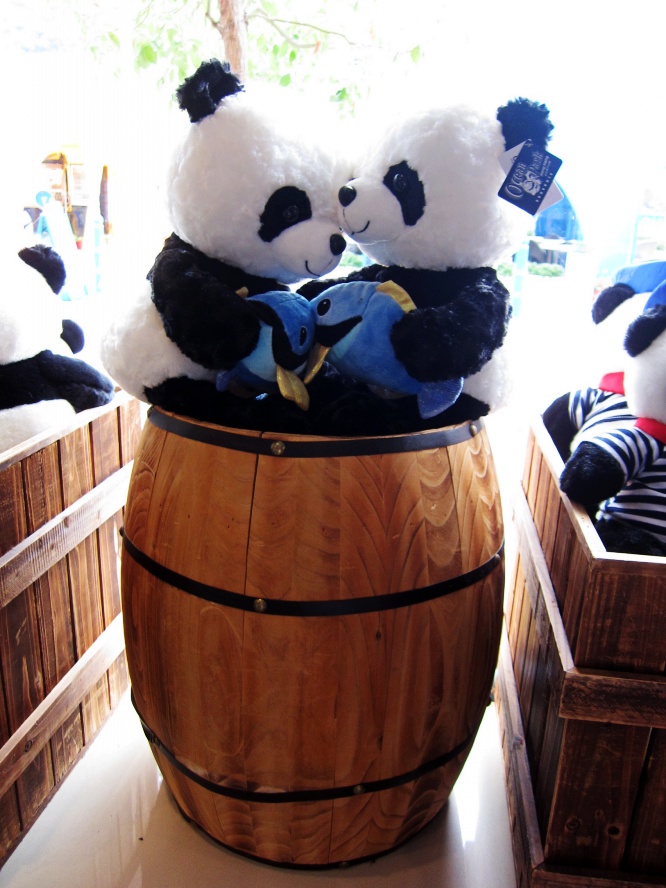 IMG_0621_conew1.jpg