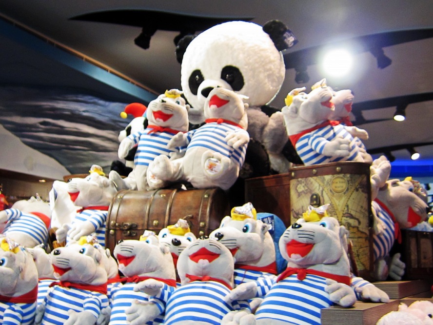 IMG_0628_conew1.jpg