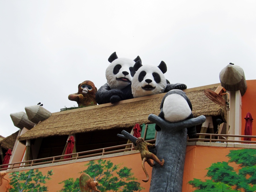 IMG_0668_conew1.jpg