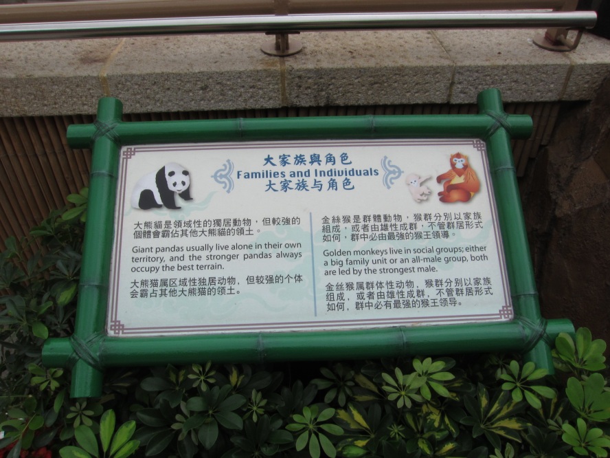 IMG_0671_conew1.jpg