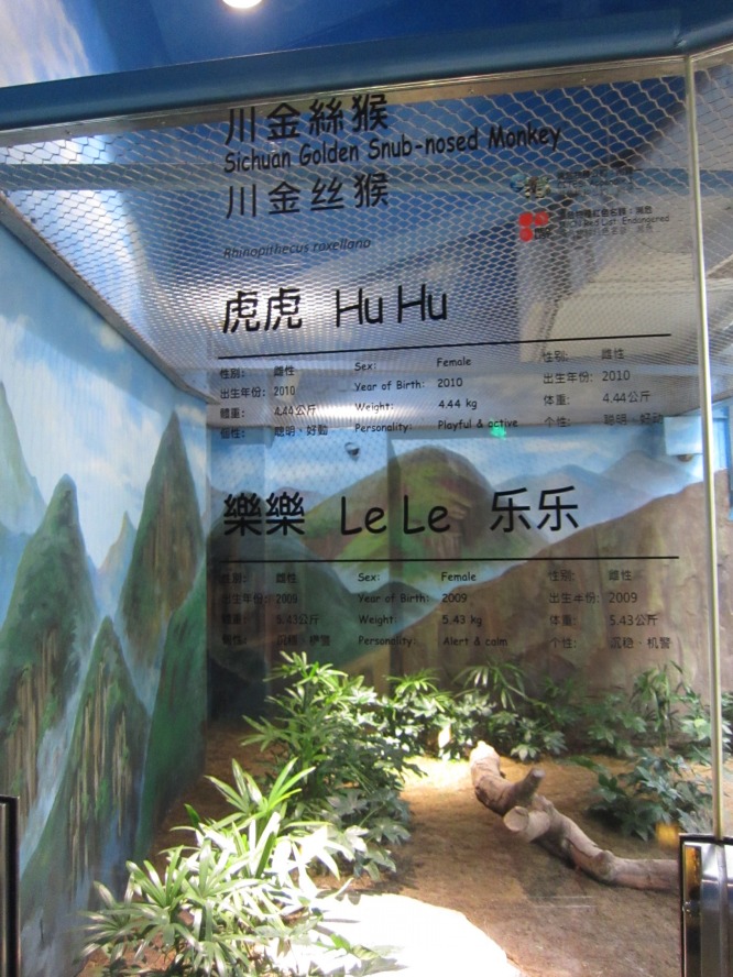 IMG_0679_conew1.jpg