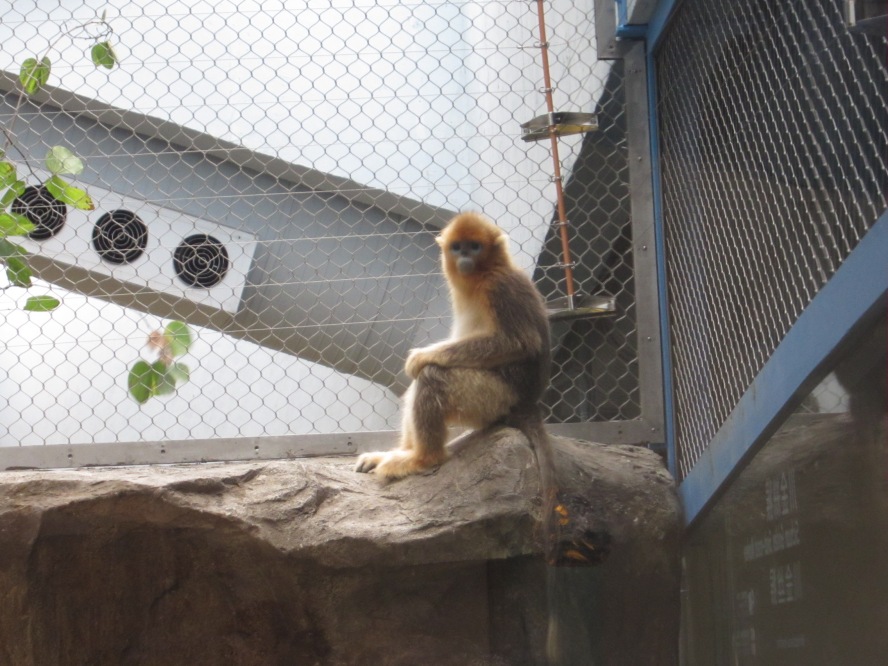 IMG_0686_conew1.jpg