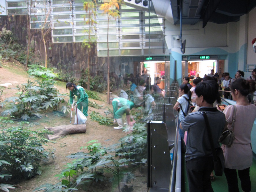 IMG_0704_conew1.jpg