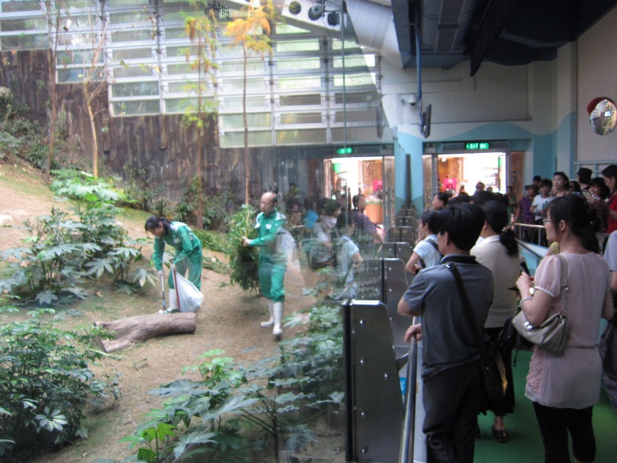 IMG_0705_conew1.jpg