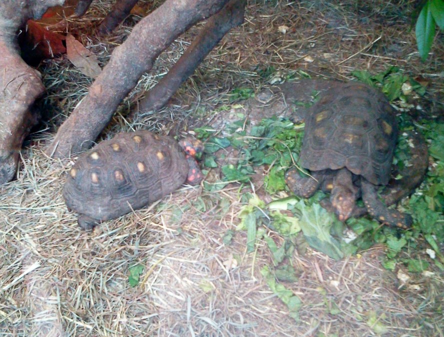 2012-05-03 16.57.13_conew1.jpg