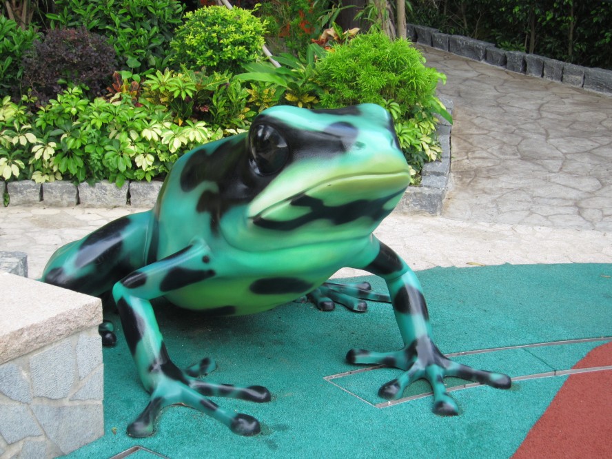 IMG_0868_conew1.jpg