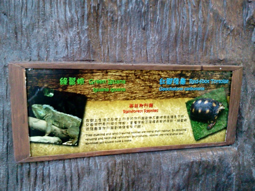 2012-05-03 16.57.38_conew1.jpg