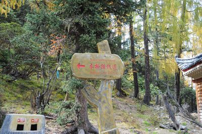 木格措_010.jpg