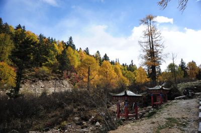 木格措_012.jpg