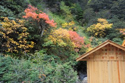 木格措_021.jpg