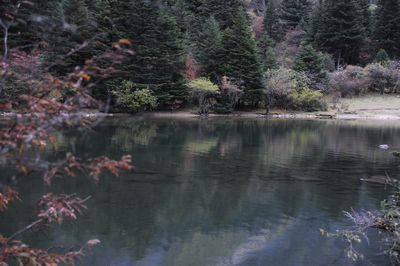 木格措_034.jpg
