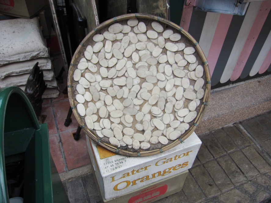 IMG_0746_conew1.jpg