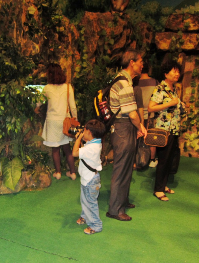 IMG_0770_conew1.jpg