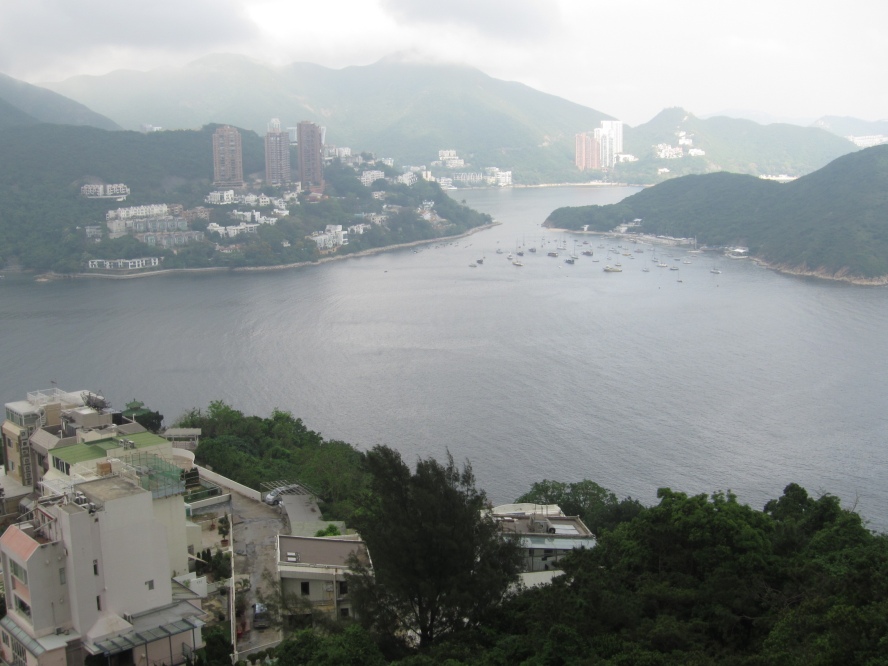 IMG_0823_conew1.jpg