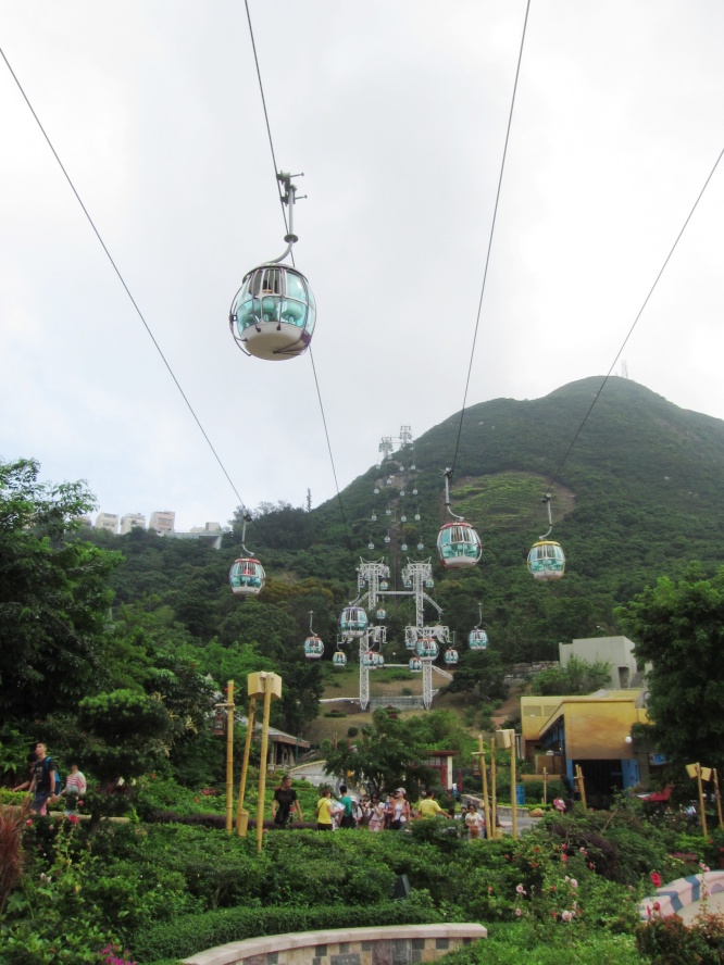 IMG_0723_conew1.jpg
