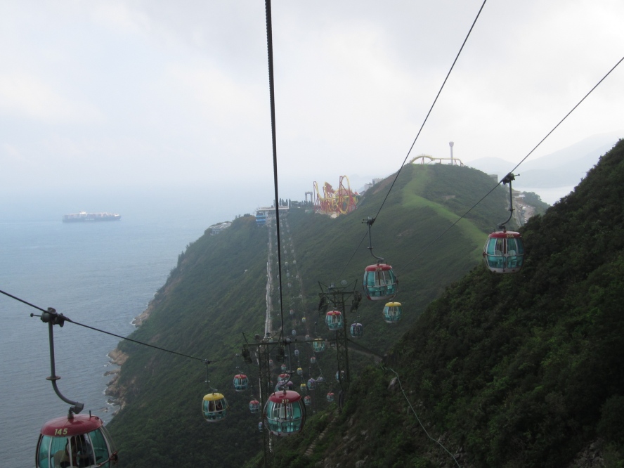 IMG_0828_conew1.jpg