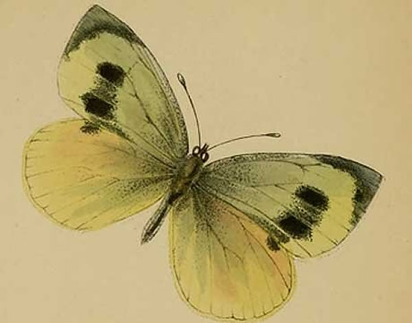 1_201205221200221gxdz.jpg